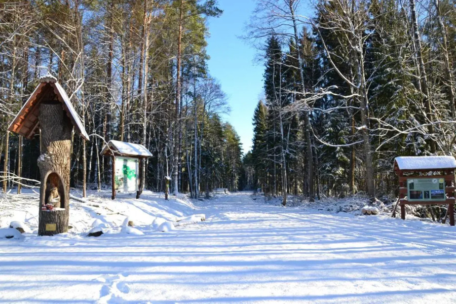 Zagajnik Holiday House