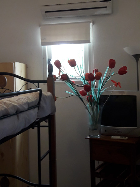 Palmita Hotel Hostel