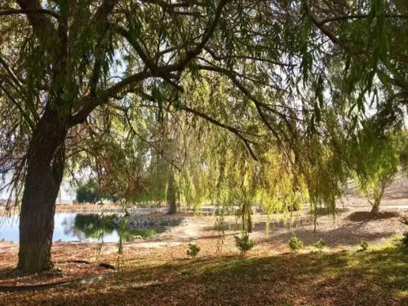 San Marcos Creek Vineyard & Winery