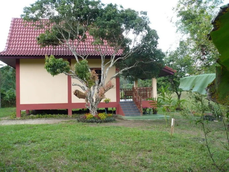 Suancha Tea Garden