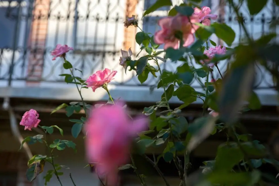 Numero22 Chambres d'hôtes