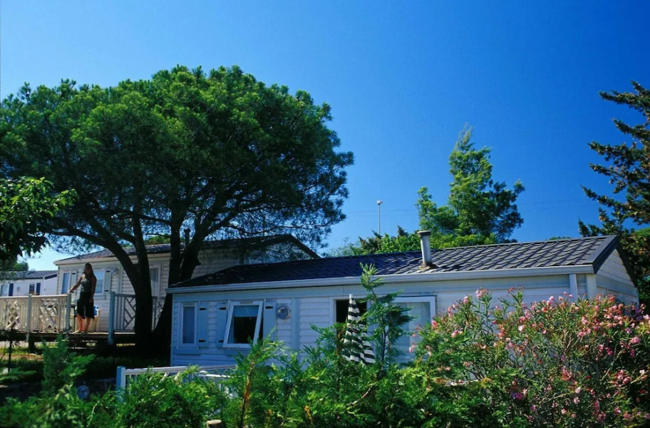 Le Kangourou by Popinns