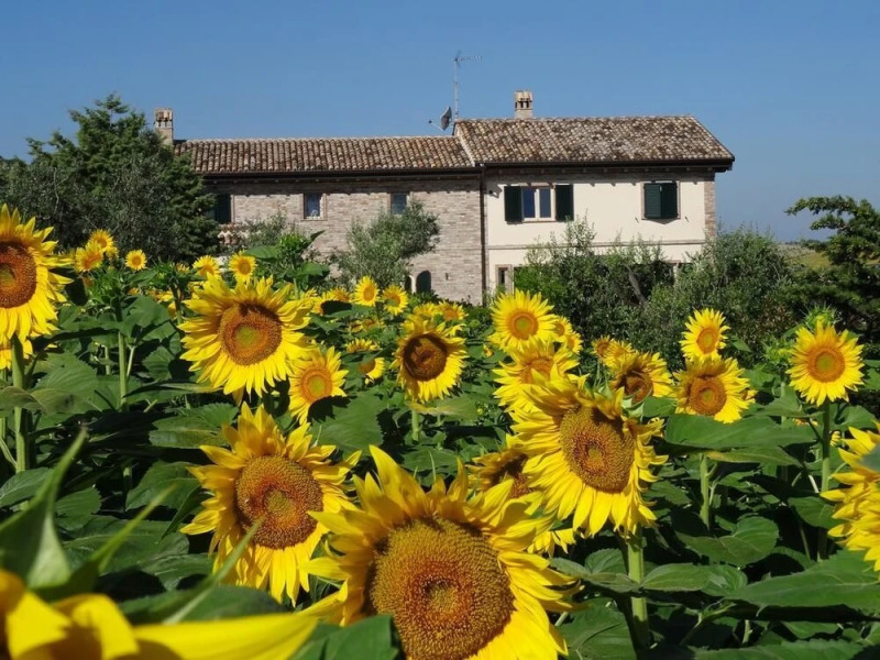 Agriturismo Ca' Nick