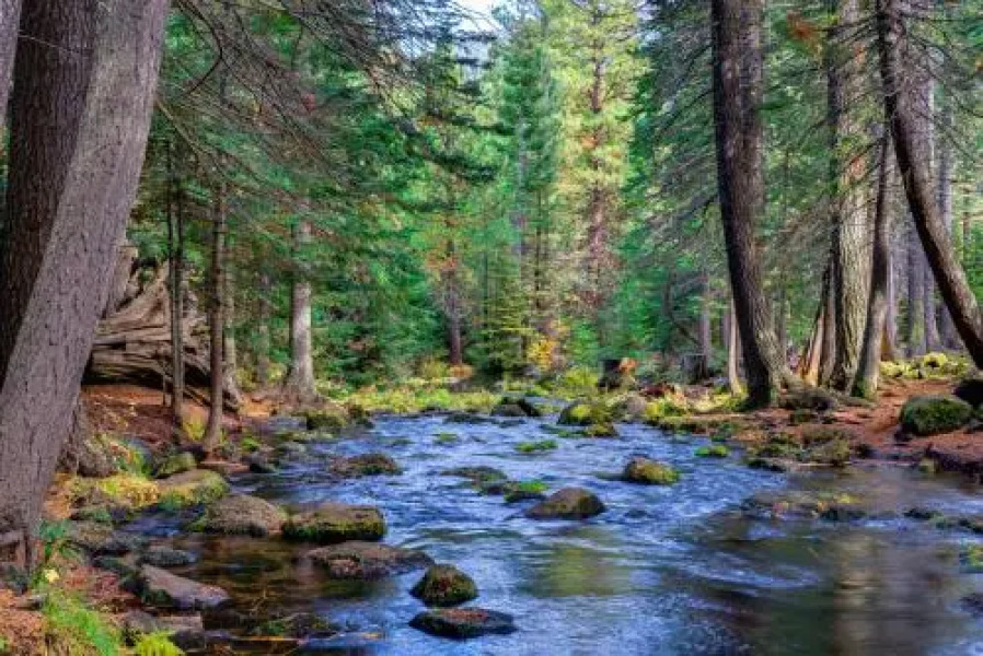Black Butte Big Meadow's 11th Fairway