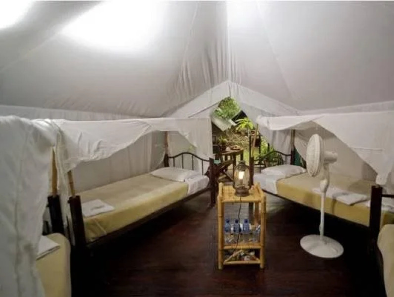 Expediciones Mexico Verde