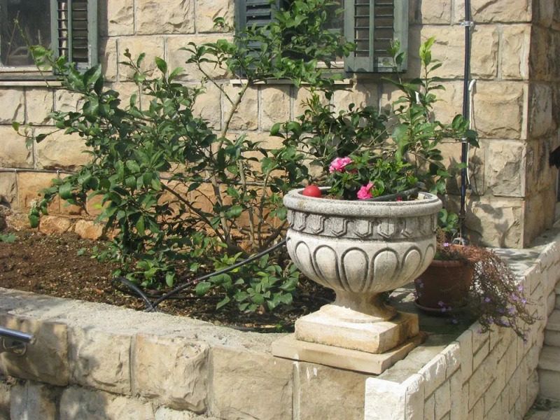 Apartment & Rooms House with Garden