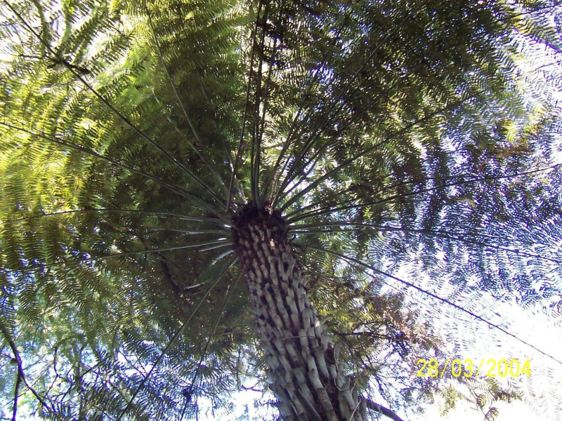 Westwind Homestay B & B