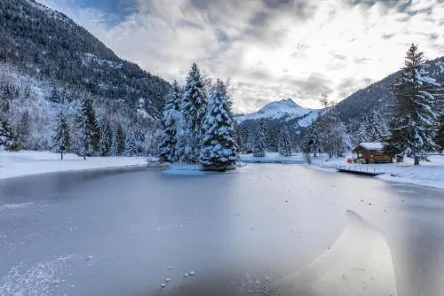 Studio 4 pers. proche des pistes 71762