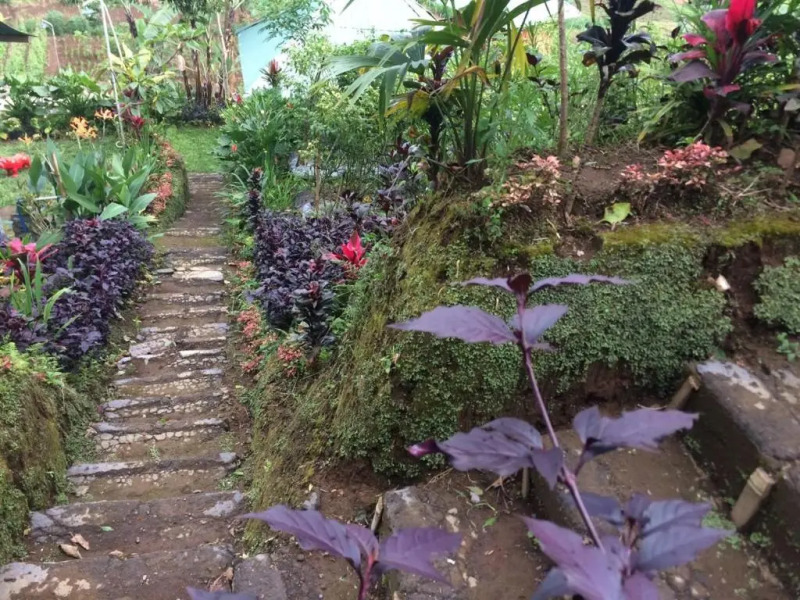 Bali Tree House Pelangi