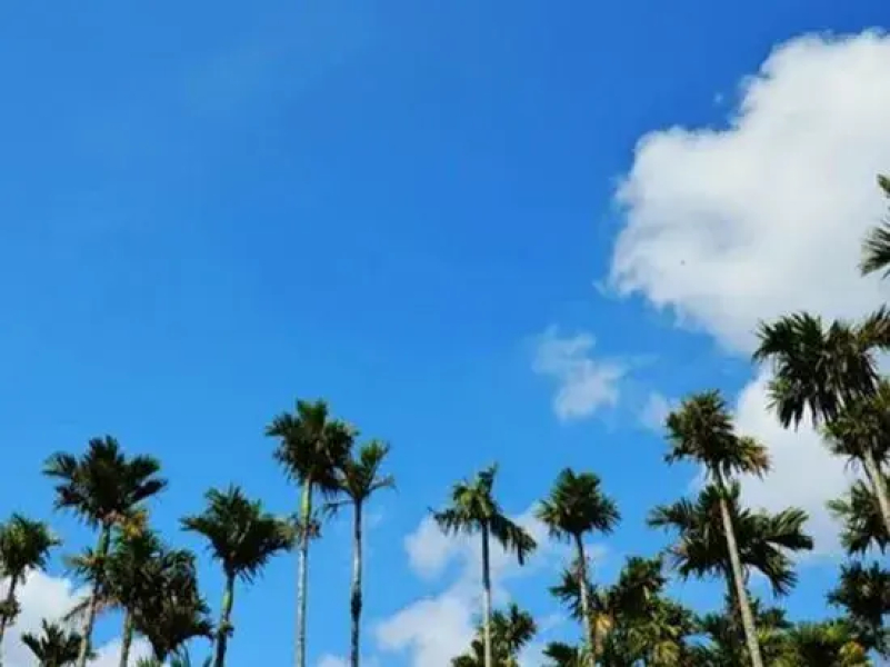 Sanya Light and Shadow Year-round Travel Rental (Yalong Bay Tropical Paradise Forest Park)