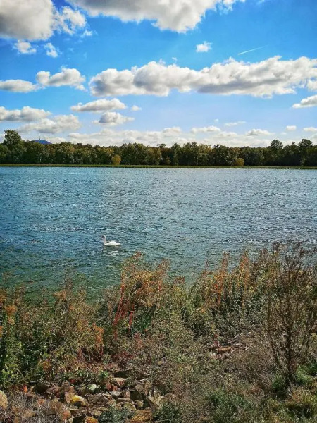 Le Manhattan Spa Privatif - Le Clôt Couvert