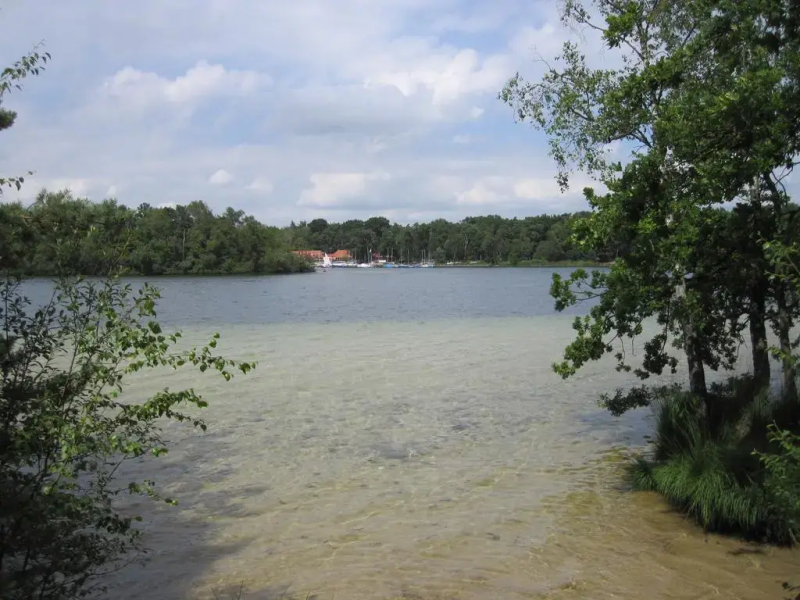 Regina Vught