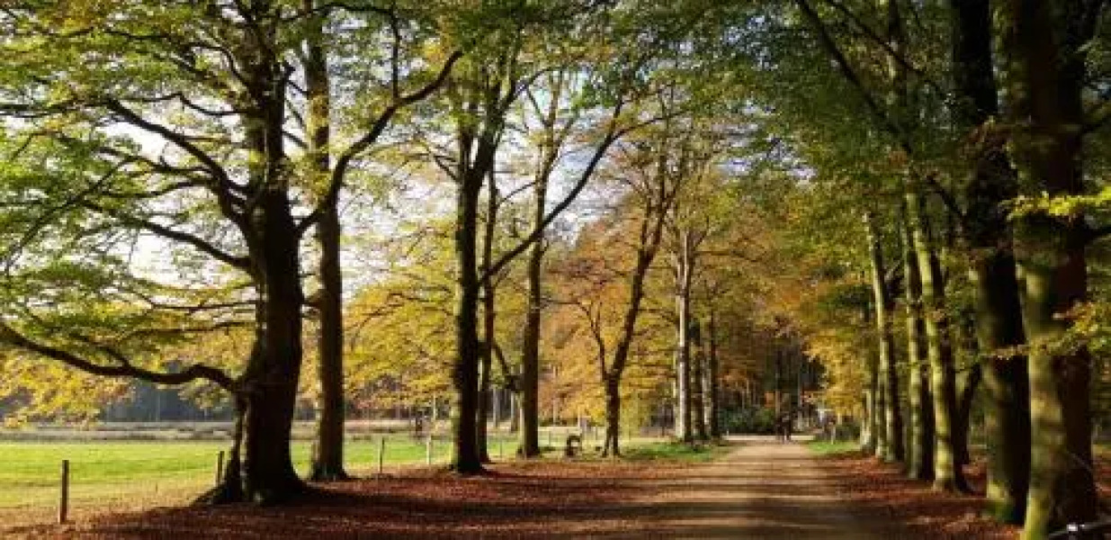 B&B Veluwemeerpension