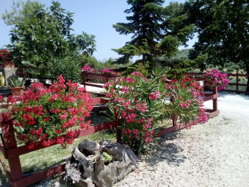 B&B Gli amici del tubarello