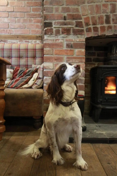 The Moorland Hotel, Haytor, Devon