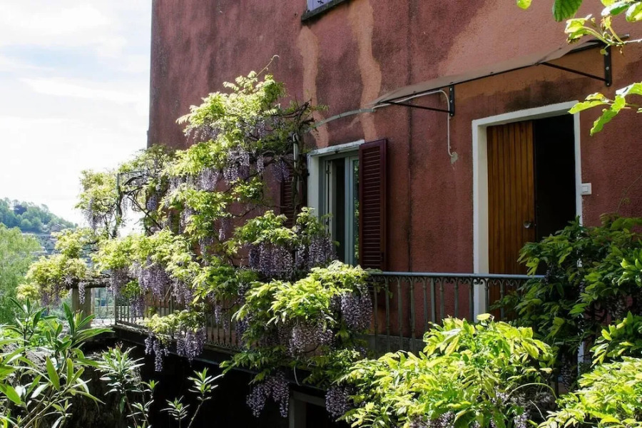 ALTIDO Wisteria House