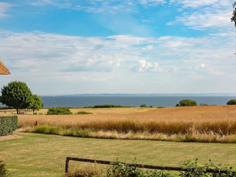 "Christian" - 250m from the sea in SE Jutland