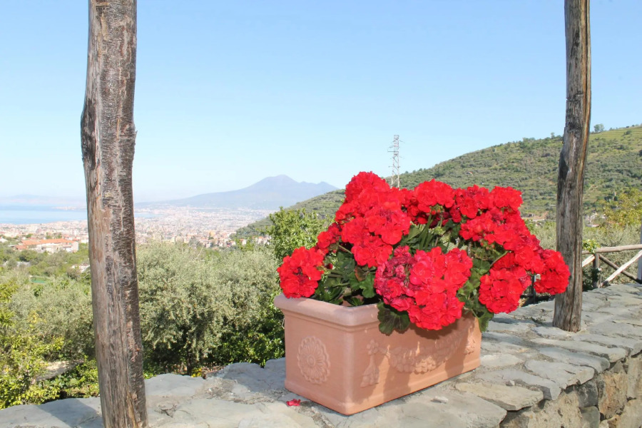 Agriturismo Casa Scola