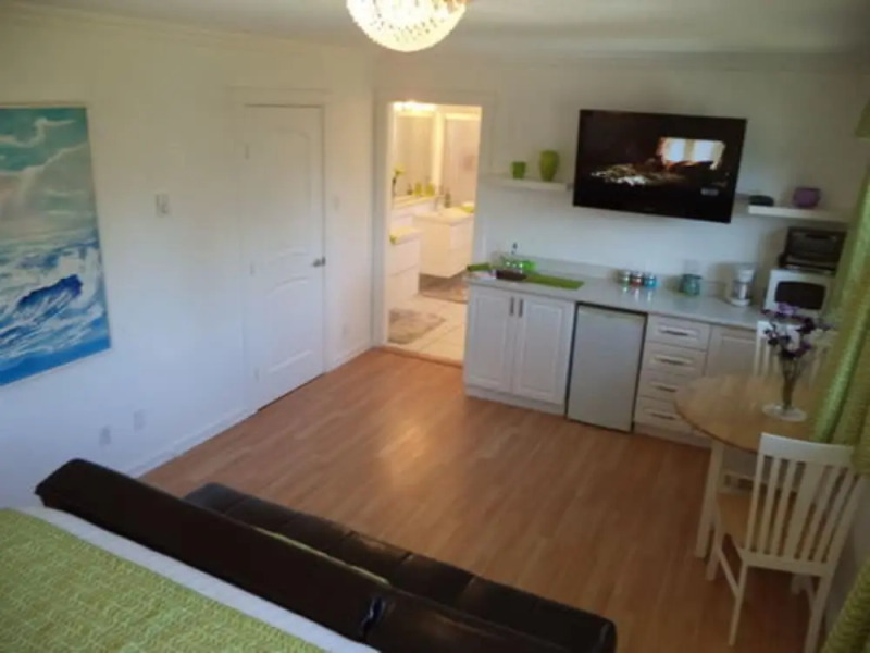 Enchanted Rainforest Guesthouse