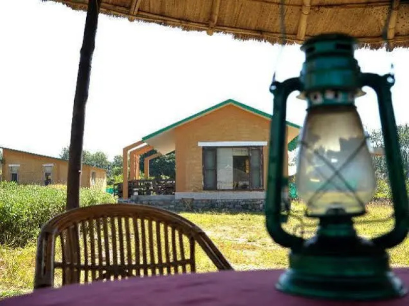 The Wild Rendezvous Hotel