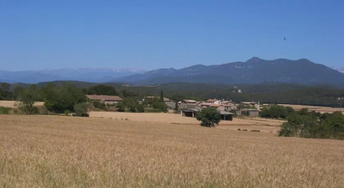 El Paller de Can Ribes