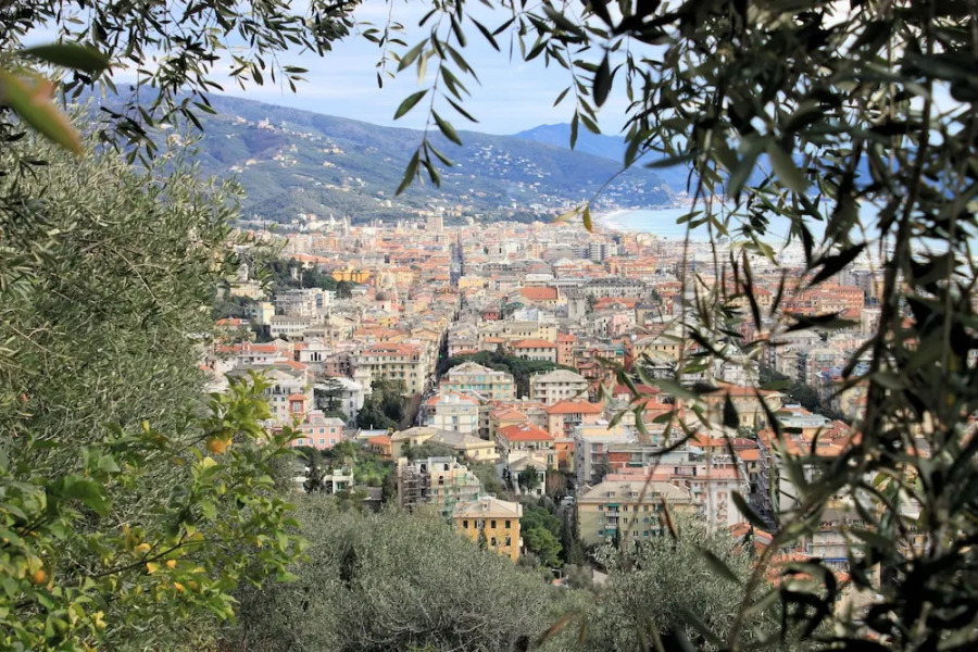 Sestri Mare 9 Superior