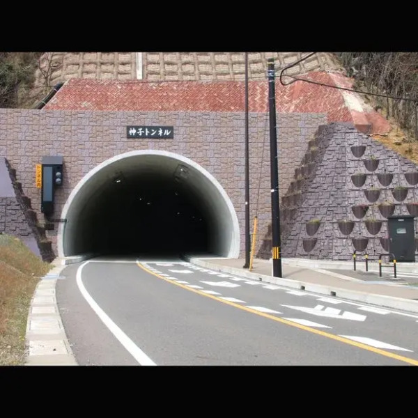 Wakasakamiko Bokai Kouraku