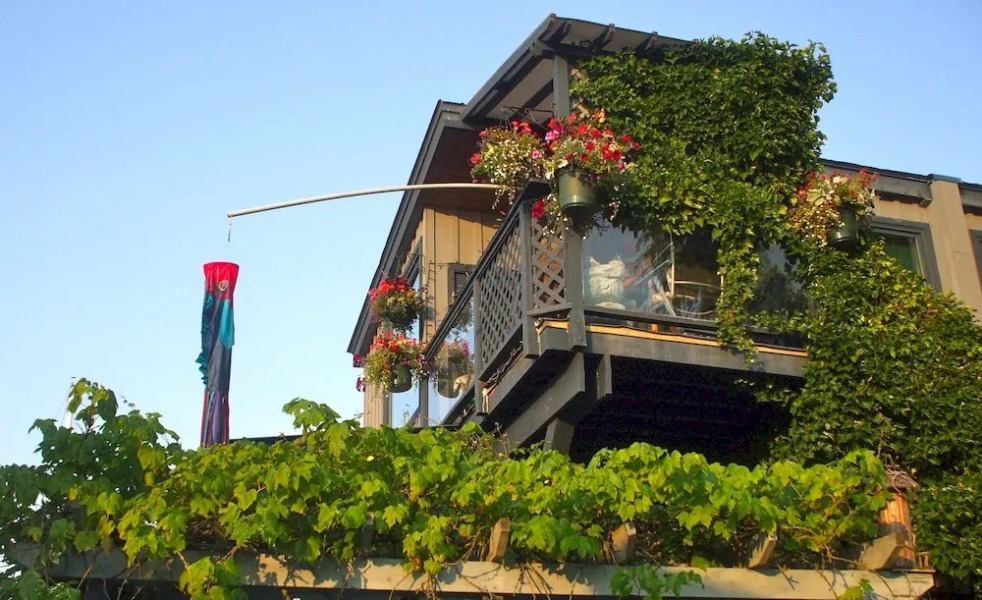 The Duck Inn Riverfront Cottages