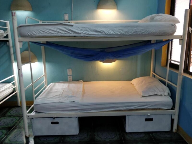 Big Tree Backpackers And Bistro