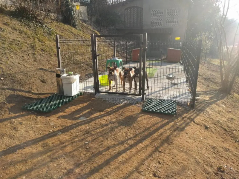 La Selvetta Bed And Breakfast