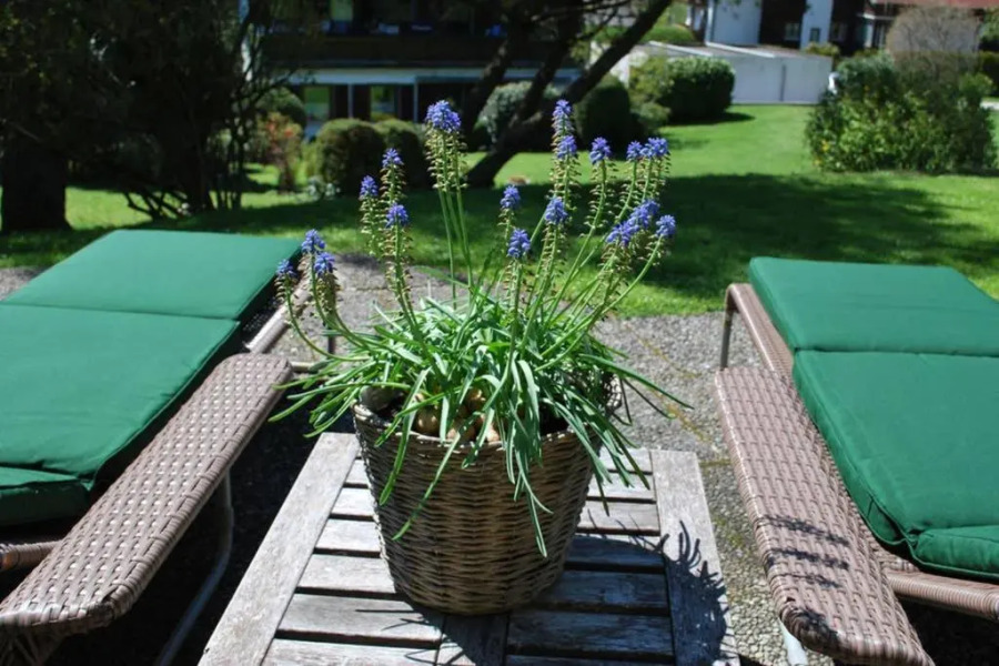 Sonniges Appartement am Tegernsee
