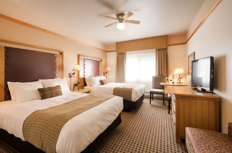 Mt. McKinley Princess Wilderness Lodge