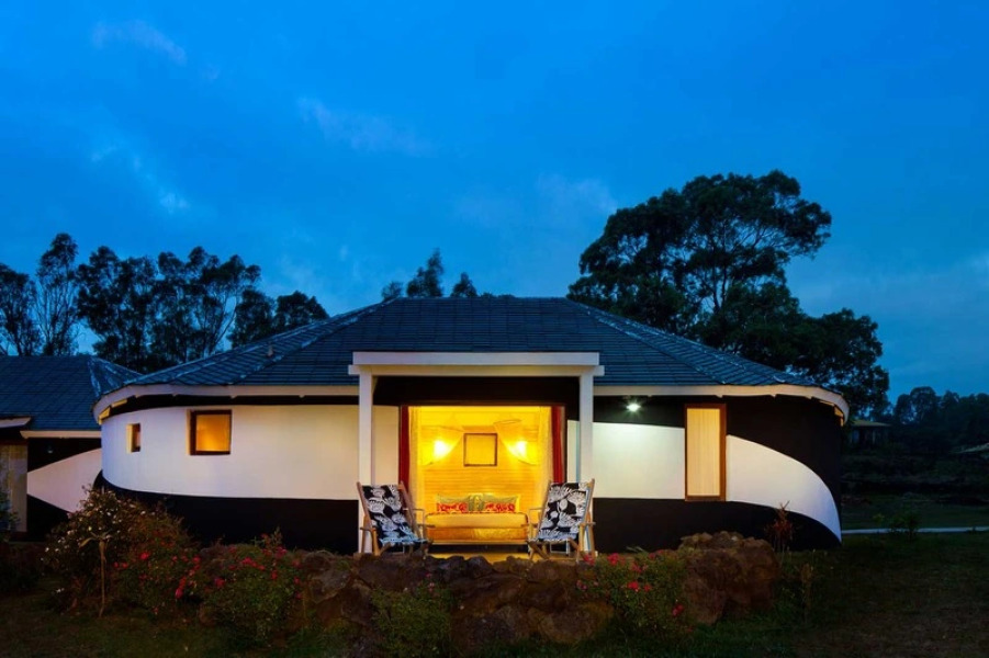 Altiplanico Rapa Nui