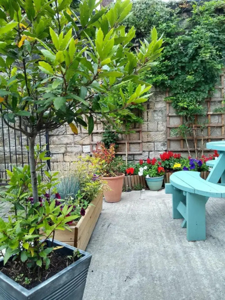 The Royal Hotel and Bar