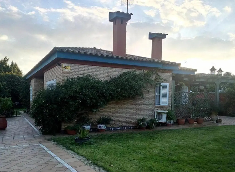 Mis Tres Centenarios