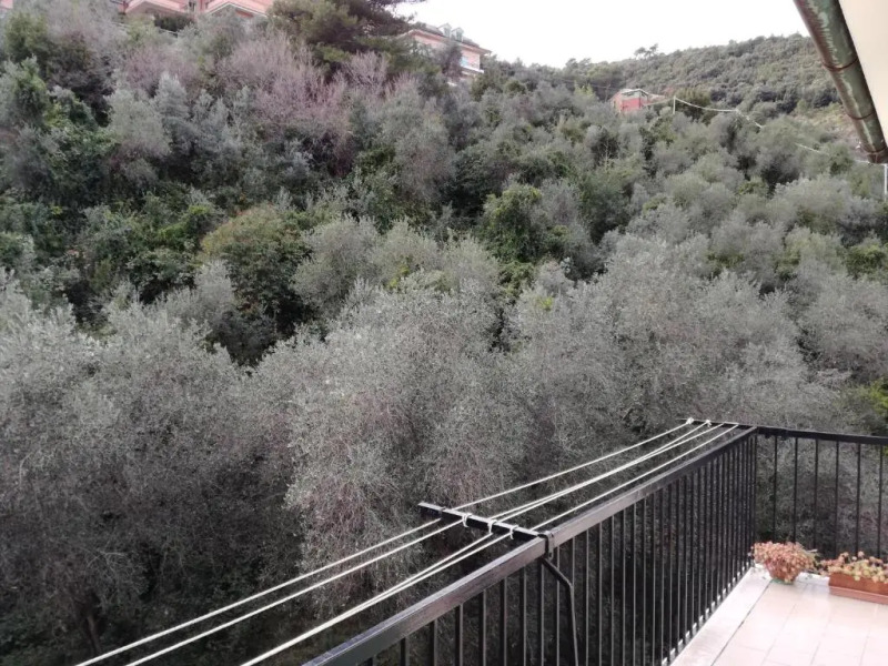 Olivo apartment with sea view