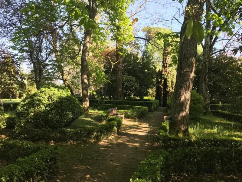 Les Buis de Saint Martin