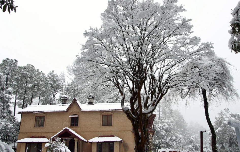 Kmvn Tourist Rest House Ranikhet Mall Road