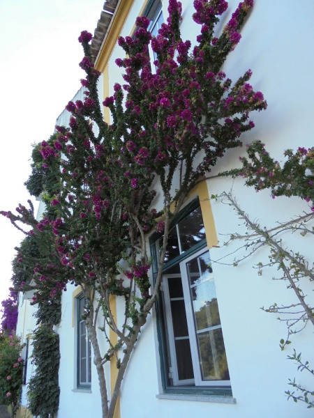 Casa Covao da Abitureira