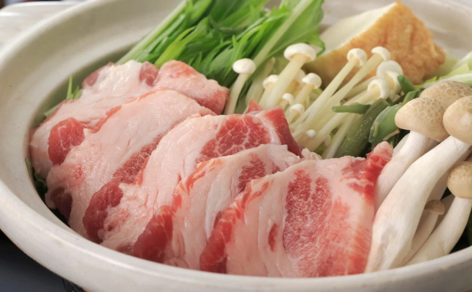 Tsutiu Onsen Yamaneya Ryokan