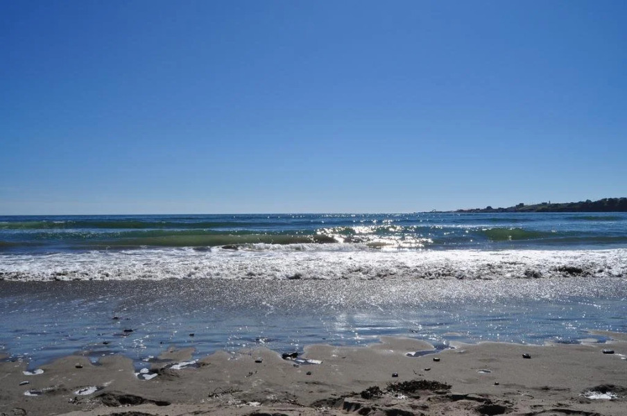 Richmond Highland Farm