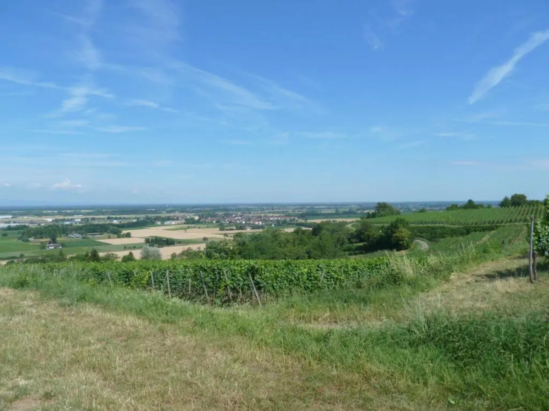 Privatzimmer Krieger