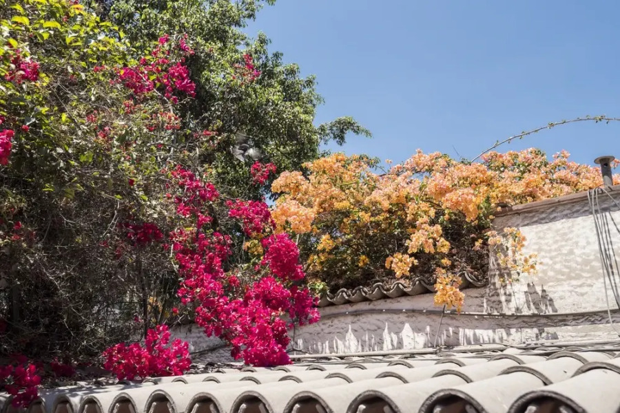 Posada Monterrico Boutique Hotel
