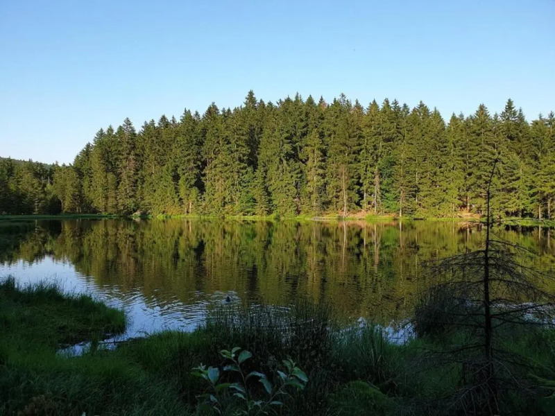 Ferienwohnung Fichtelmountain