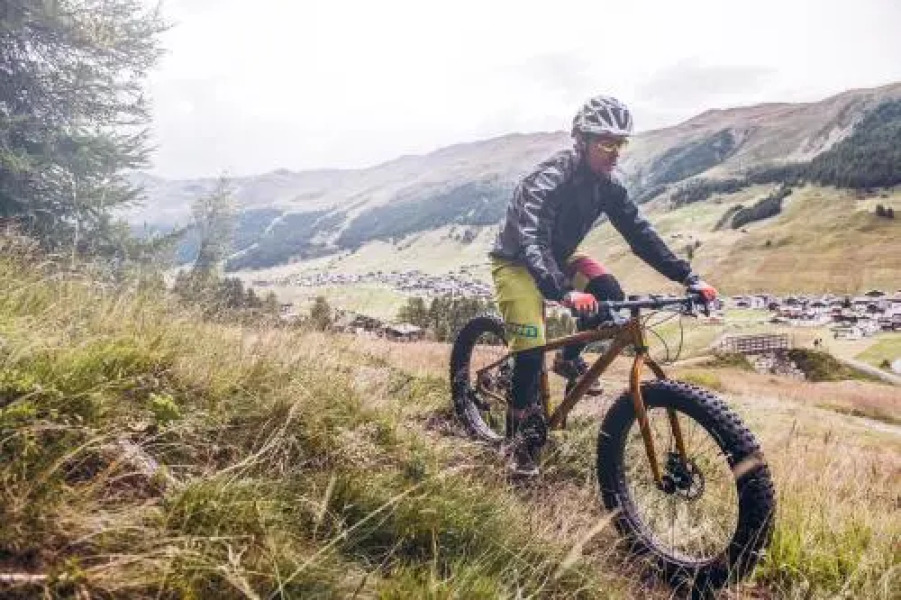 Chalet La Rugiada MyHoliday Livigno