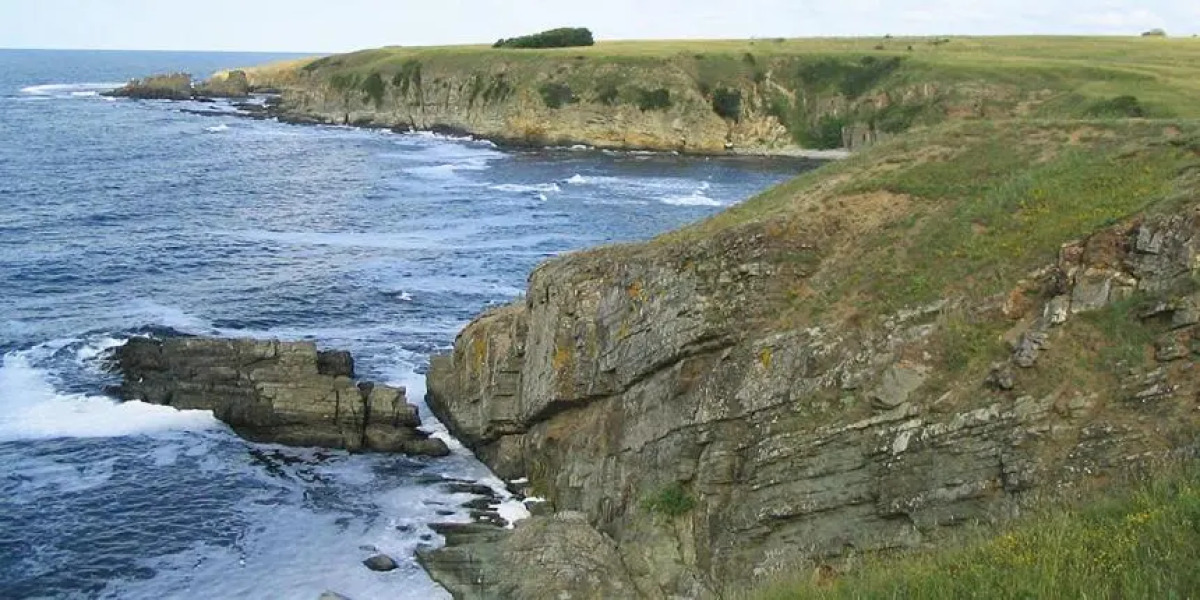 Victoria Sinemorets Guest House