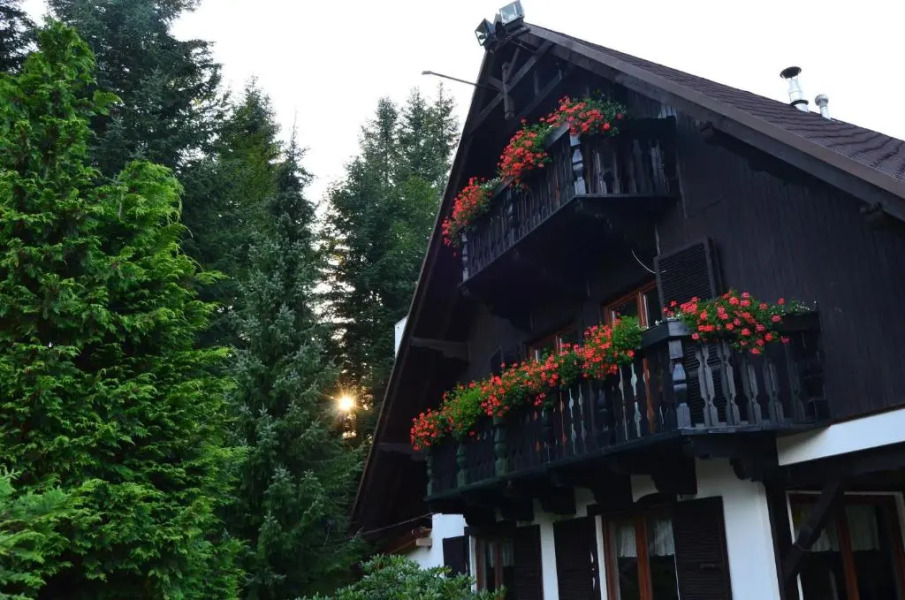 Jałowcówka Centrum Aktywności Psychoruchowej