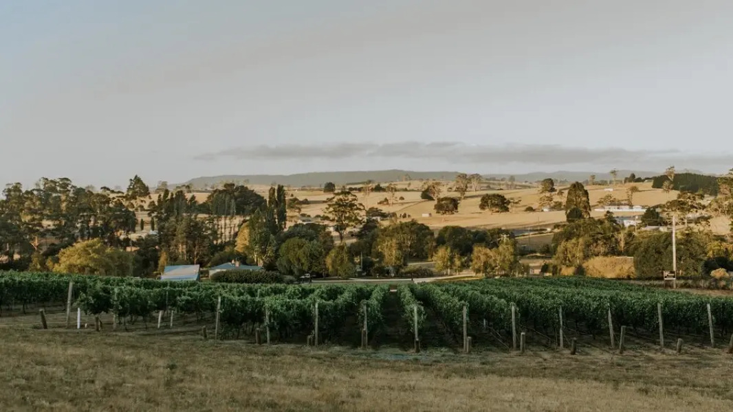 3 Willows Vineyard Cottage