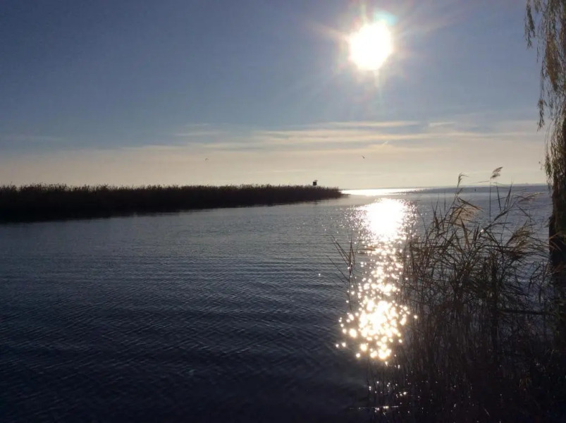 Feriendomizil Wohltat