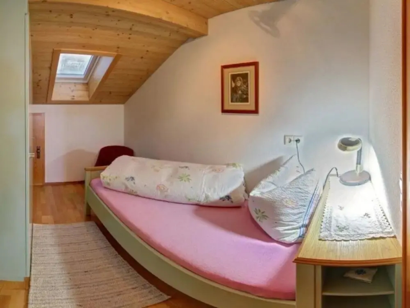 Staufenblick Roof Studio in the House